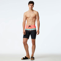 Billabong Momentum Pro 19 Erkek Renkli Mayoşort Billabong Momentum Pro 19 Erkek Renkli Mayoşort