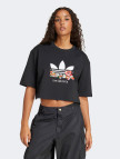 adidas Graphics Nelson Kadın Siyah T-Shirt adidas Graphics Nelson Kadın Siyah T-Shirt