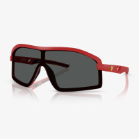 Scuderia Ferrari FZ6010U Erkek Kırmızı Güneş Gözlüğü Scuderia Ferrari FZ6010U Erkek Kırmızı Güneş Gözlüğü