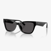 Jimmy Choo JC5024HU Kadın Siyah Güneş Gözlüğü Jimmy Choo JC5024HU Kadın Siyah Güneş Gözlüğü