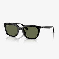 Ray-Ban RB4439D Unisex Siyah Güneş Gözlüğü Ray-Ban RB4439D Unisex Siyah Güneş Gözlüğü