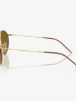 Ray-Ban Round Reverse RBR0103S Unisex Kahverengi Güneş Gözlüğü