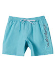 Quiksilver Everyday Vert 16 Erkek Mavi Volley Short
