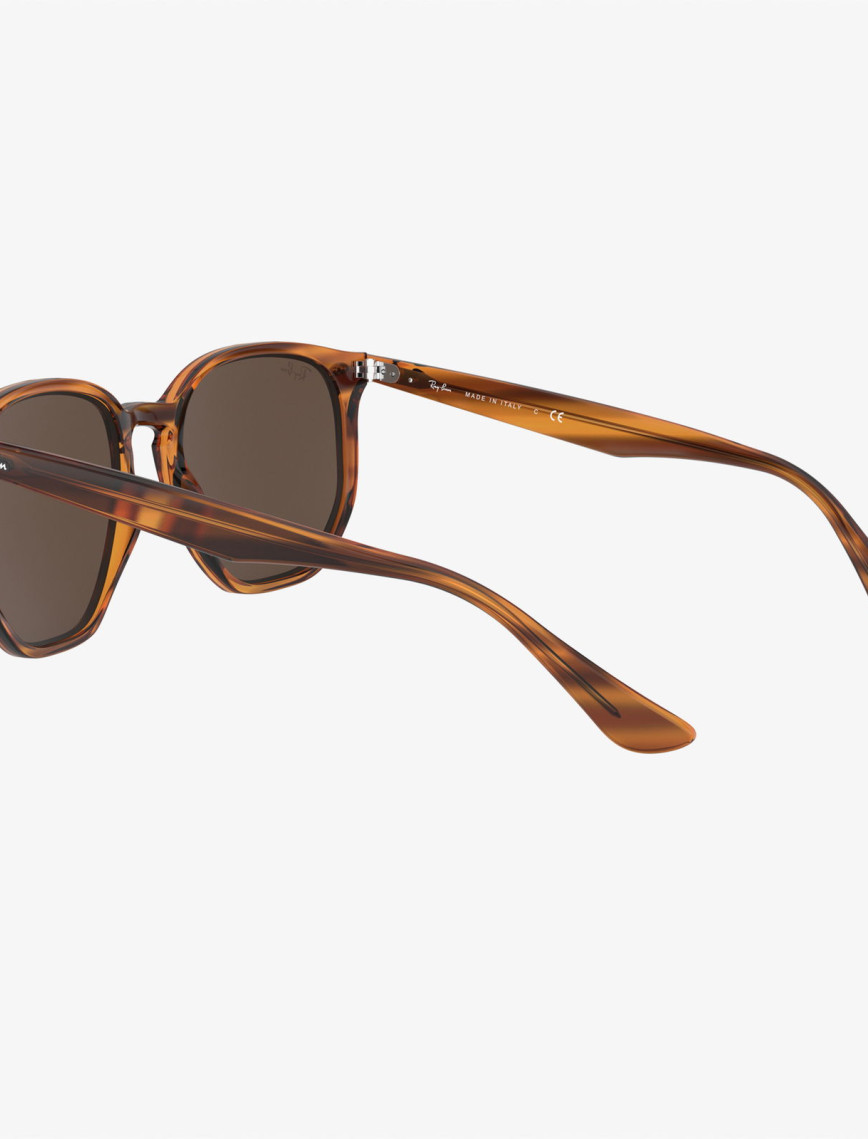 RAY-BAN 0RB4306 Unisex Kahverengi Güneş Gözlüğü
