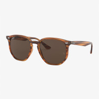 RAY-BAN 0RB4306 Unisex Kahverengi Güneş Gözlüğü