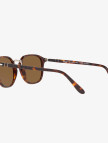 PERSOL 0PO3186S Erkek Kahverengi Güneş Gözlüğü PERSOL 0PO3186S Erkek Kahverengi Güneş Gözlüğü