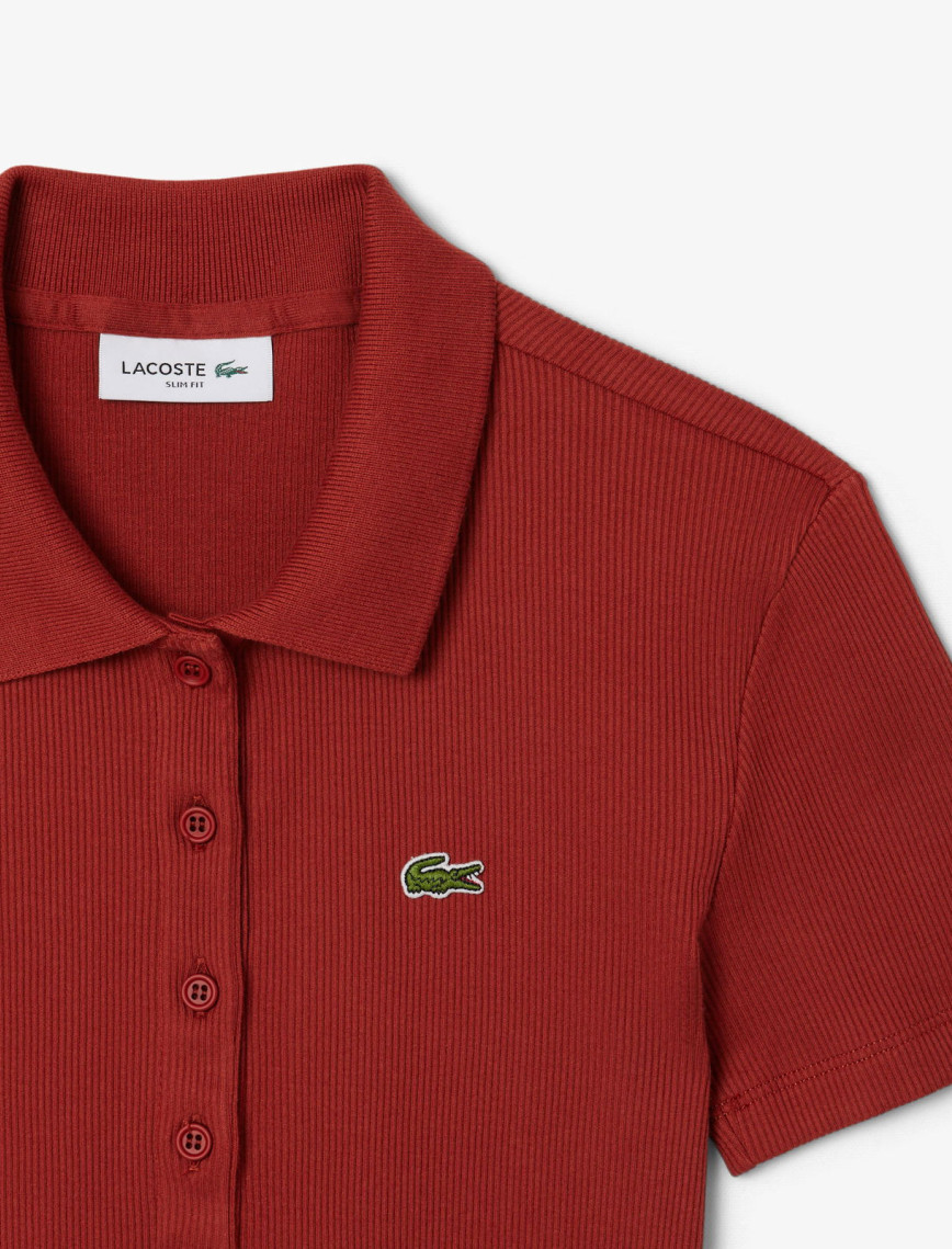 Lacoste L.12.D Kadın Slim Fit Organik Pamuk Kırmızı Polo Lacoste L.12.D Kadın Slim Fit Organik Pamuk Kırmızı Polo