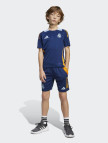 adidas Real Madrid 24-25 Tiro Çocuk Lacivert Futbol Üstü adidas Real Madrid 24-25 Tiro Çocuk Lacivert Futbol Üstü