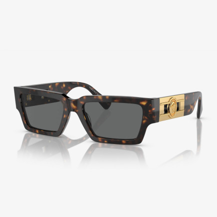 Versace VE4459 Unisex Kahverengi Güneş Gözlüğü