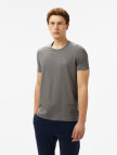 Nautica Erkek Gri Regular Fit T-Shirt Nautica Erkek Gri Regular Fit T-Shirt