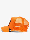 Goorin Bros The Dog Pitbull Unisex Turuncu Şapka