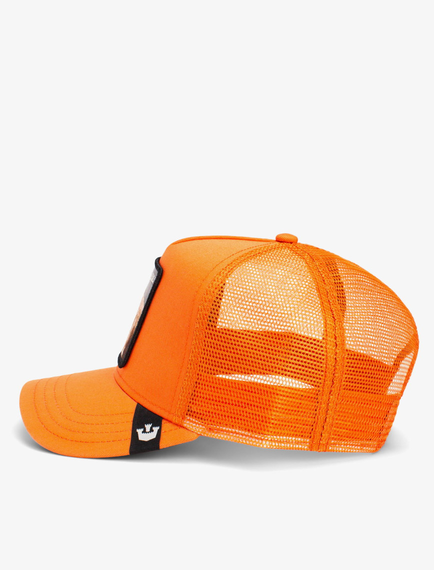 Goorin Bros The Dog Pitbull Unisex Turuncu Şapka