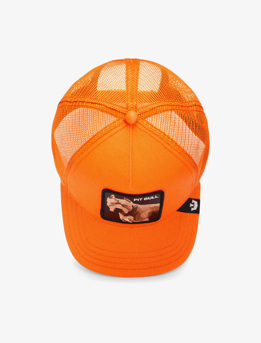 Goorin Bros The Dog Pitbull Unisex Turuncu Şapka