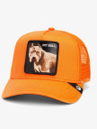 Goorin Bros The Dog Pitbull Unisex Turuncu Şapka