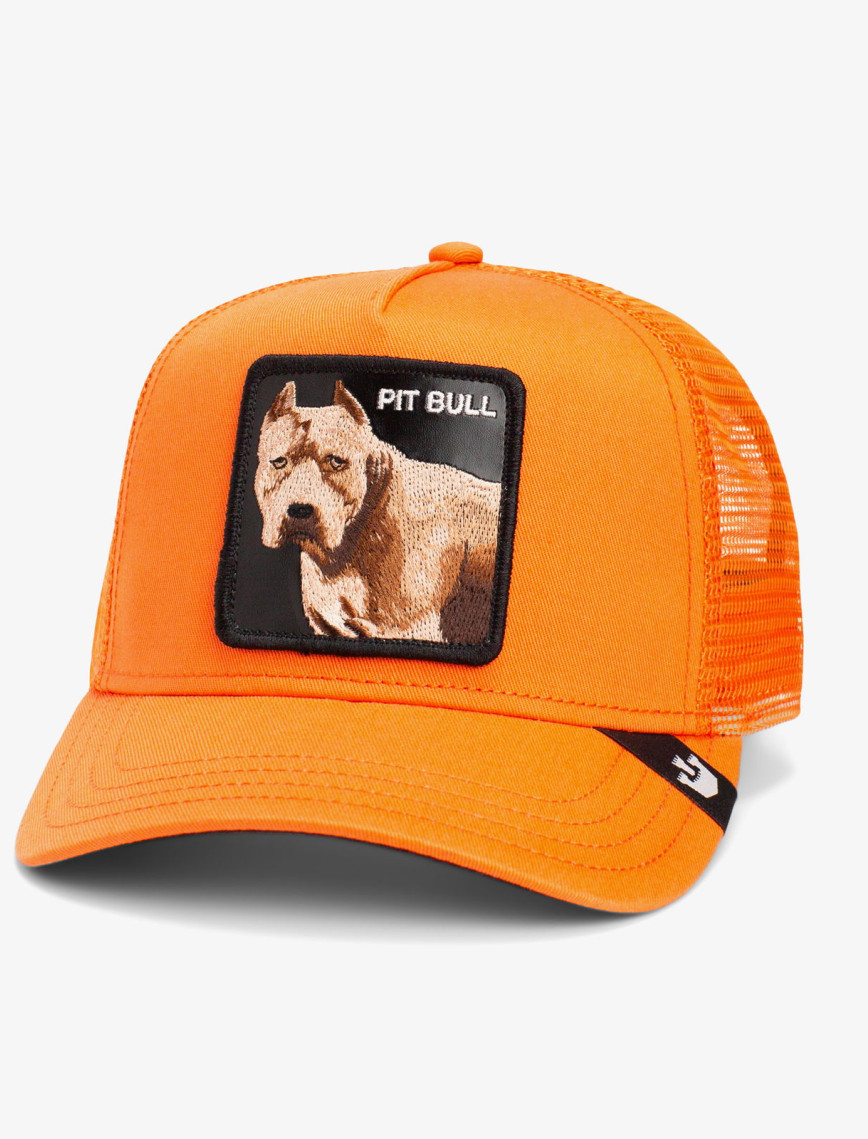 Goorin Bros The Dog Pitbull Unisex Turuncu Şapka