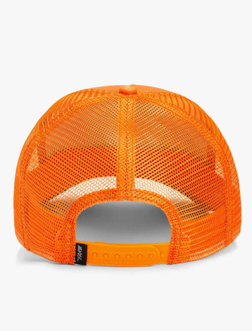 Goorin Bros The Dog Pitbull Unisex Turuncu Şapka