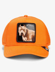 Goorin Bros The Dog Pitbull Unisex Turuncu Şapka