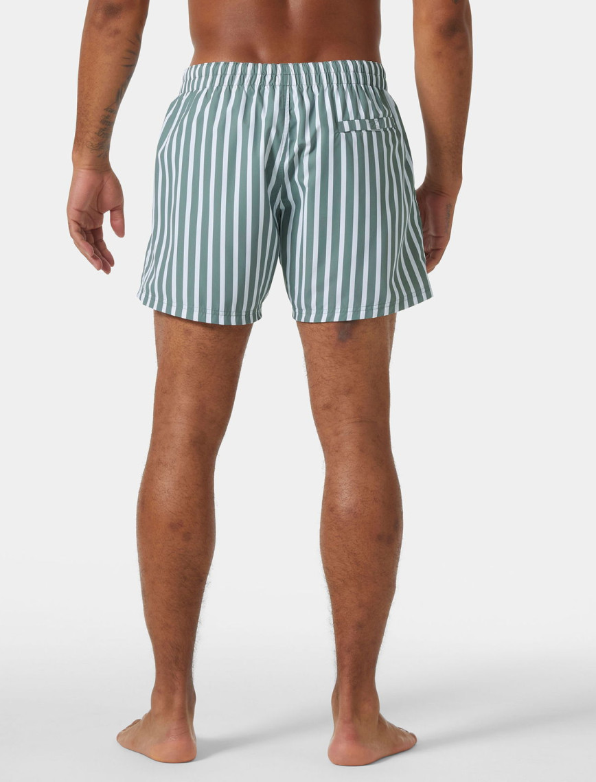 Helly Hansen Newport Erkek Renkli Deniz Şortu