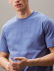 Calvin Klein Graphic Erkek Mavi T-Shirt Calvin Klein Graphic Erkek Mavi T-Shirt