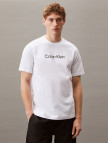 Calvin Klein Graphic Erkek Beyaz T-Shirt Calvin Klein Graphic Erkek Beyaz T-Shirt