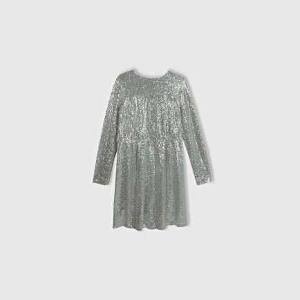 Kadın Gümüş İçi Jarse Astarlı Sırt Detaylı Uzun Kollu Simli Elbise