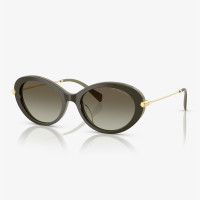 Michael Kors MK2245U Kadın Siyah Güneş Gözlüğü Michael Kors MK2245U Kadın Siyah Güneş Gözlüğü