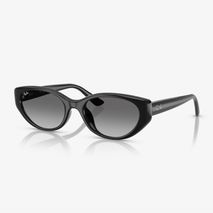 Ray-Ban RB4457D Unisex Siyah Güneş Gözlüğü Ray-Ban RB4457D Unisex Siyah Güneş Gözlüğü