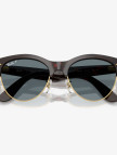 Ray-Ban RB2341 Unisex Altın Rengi Güneş Gözlüğü Ray-Ban RB2341 Unisex Altın Rengi Güneş Gözlüğü