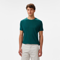 Nautica Erkek Yeşil Regular Fit T-Shirt Nautica Erkek Yeşil Regular Fit T-Shirt