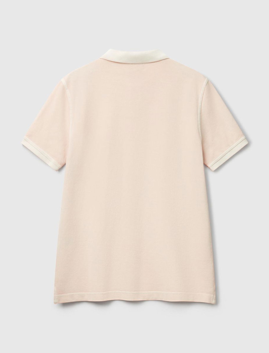 Erkek Pembe %100 Organik Koton Regular Fit Polo T-Shirt