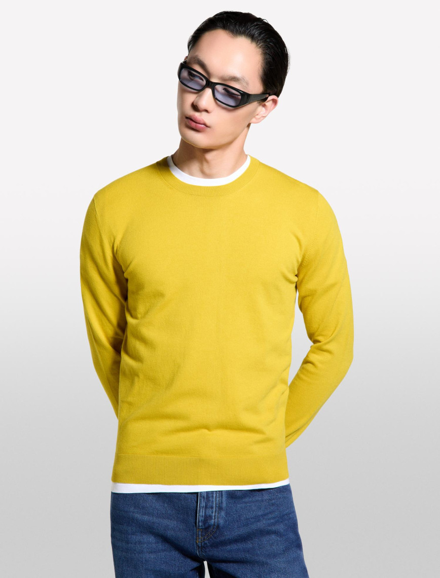 Erkek Hardal Sarı Pamuk Karışımlı Normal Kesim Uzun Kollu Ribanalı Kazak Erkek Hardal Sarı Pamuk Karışımlı Normal Kesim Uzun Kollu Ribanalı Kazak