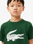 Lacoste Erkek Çocuk Bisiklet Yaka Baskılı Yeşil T-Shirt Lacoste Erkek Çocuk Bisiklet Yaka Baskılı Yeşil T-Shirt