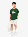 Lacoste Erkek Çocuk Bisiklet Yaka Baskılı Yeşil T-Shirt Lacoste Erkek Çocuk Bisiklet Yaka Baskılı Yeşil T-Shirt