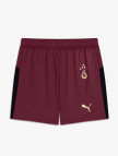 Puma Galatasaray S.K. 25-26 Çocuk Kırmızı Futbol Şortu Puma Galatasaray S.K. 25-26 Çocuk Kırmızı Futbol Şortu