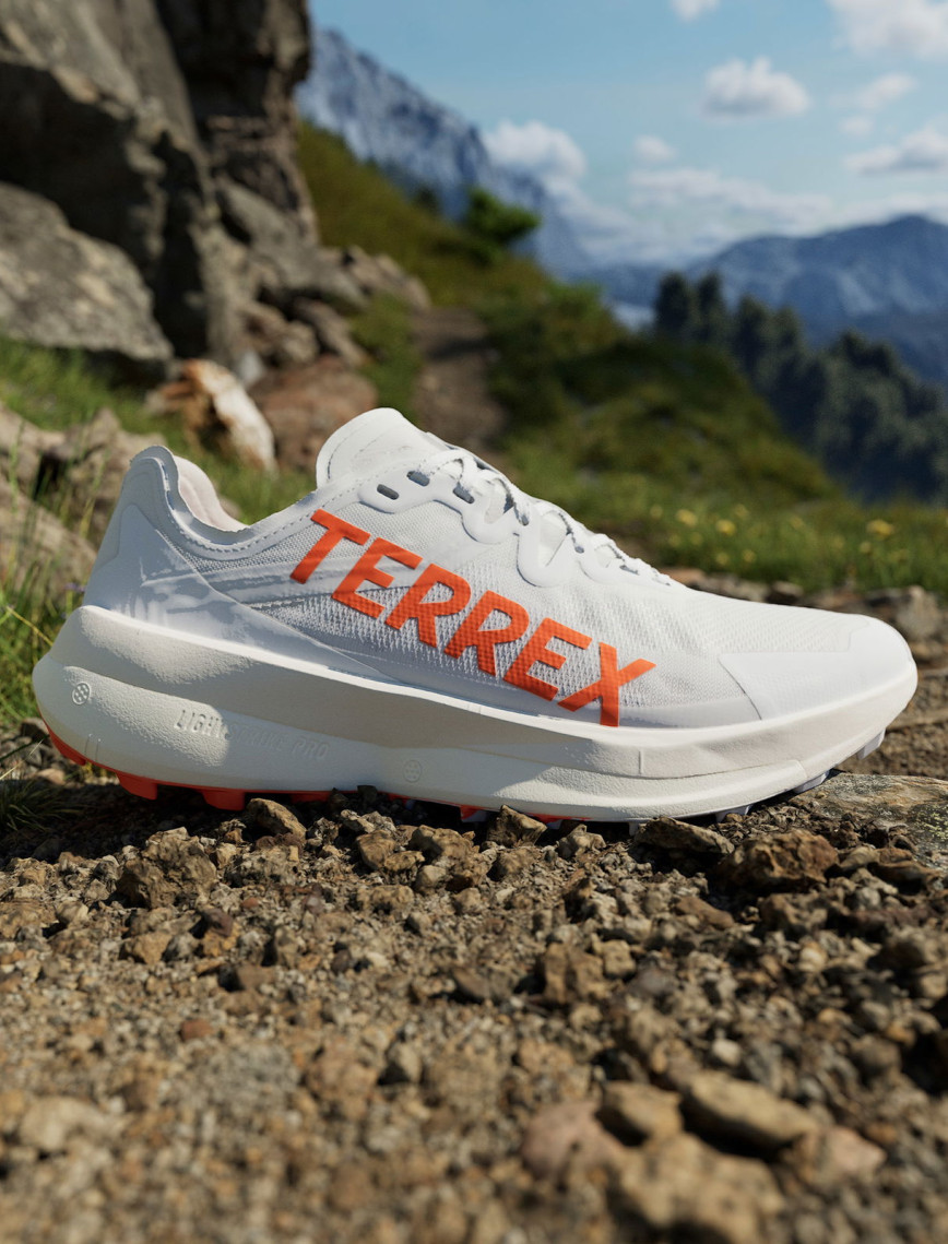 adidas Terrex Agravic Speed Erkek Gri Koşu Ayakkabısı