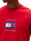 Tommy Hilfiger Linear Flag Graphic Erkek Kırmızı Uzun Kollu T-shirt Tommy Hilfiger Linear Flag Graphic Erkek Kırmızı Uzun Kollu T-shirt