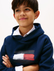 Tommy Hilfiger Flag Çocuk Mavi Hoodie Tommy Hilfiger Flag Çocuk Mavi Hoodie