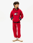 Tommy Hilfiger Flag Çocuk Kırmızı Hoodie Tommy Hilfiger Flag Çocuk Kırmızı Hoodie