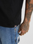 Dickies Bolivar Erkek Siyah T-Shirt