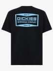 Dickies Bolivar Erkek Siyah T-Shirt