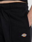 Dickies Mapleton Straight Kadın Siyah Pantolon Dickies Mapleton Straight Kadın Siyah Pantolon
