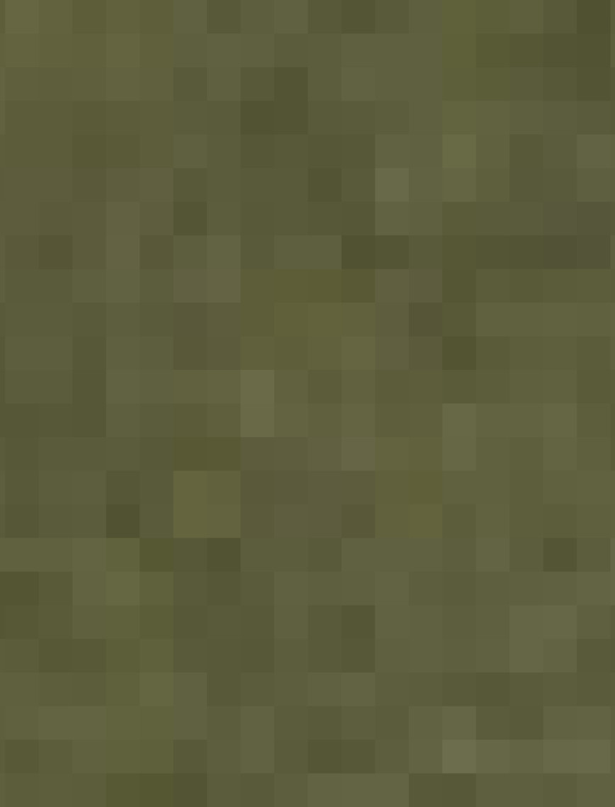 GANT Erkek Yeşil Jogger Fit Pantolon GANT Erkek Yeşil Jogger Fit Pantolon