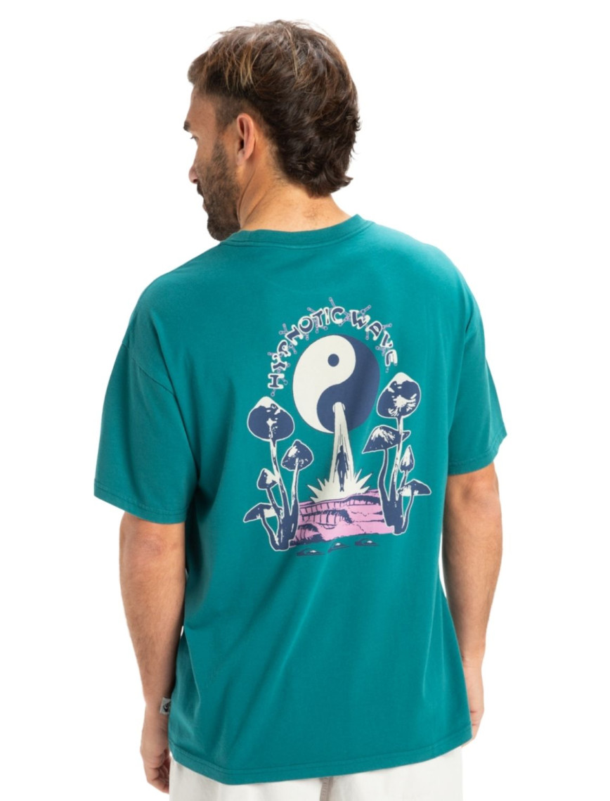 Quiksilver Hw Hypnotic Wave Erkek Tişört Quiksilver Hw Hypnotic Wave Erkek Tişört