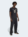 adidas FC Bayern 24/25 Third Jersey Erkek Siyah T-Shirt adidas FC Bayern 24/25 Third Jersey Erkek Siyah T-Shirt