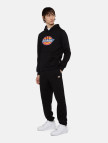 Dickies Mapleton Siyah Unisex Pantolon Dickies Mapleton Siyah Unisex Pantolon