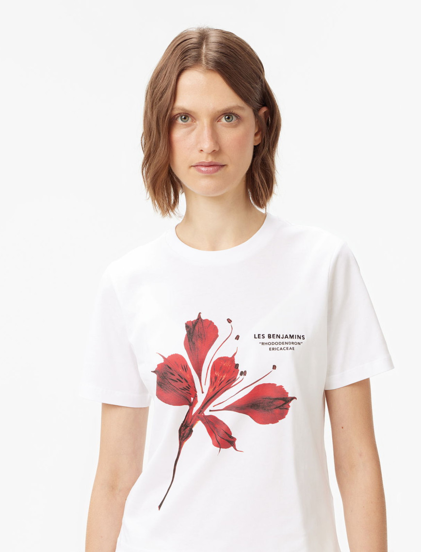 Les Benjamins Regular 012 Kadın Beyaz T-Shirt Les Benjamins Regular 012 Kadın Beyaz T-Shirt