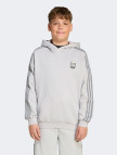 adidas Hoodıe Çocuk Gri Sweatshirt adidas Hoodıe Çocuk Gri Sweatshirt