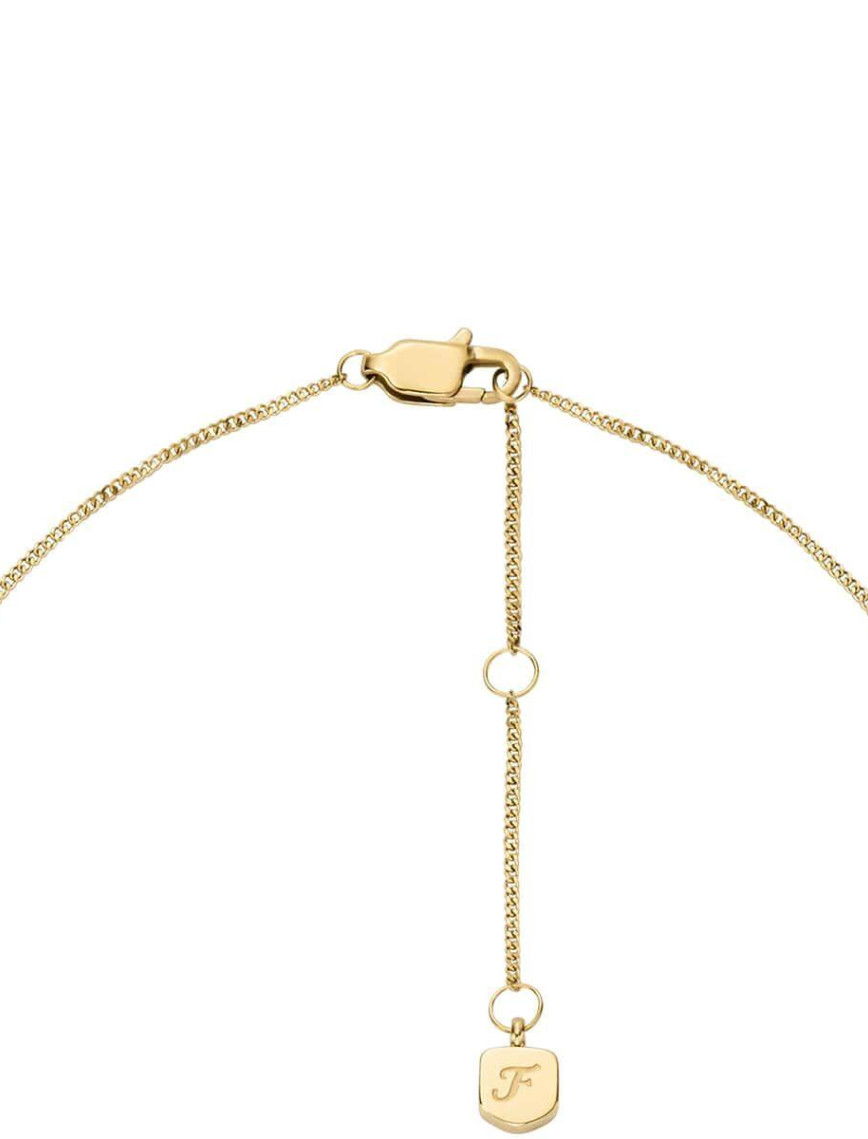 Fossil JF04920-710 Kelebek Kadın Kolye Fossil JF04920-710 Kelebek Kadın Kolye