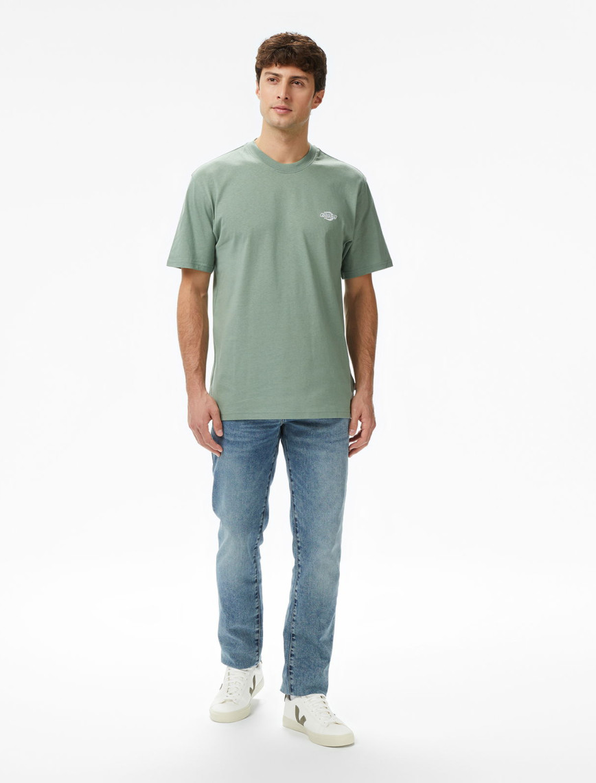 Dickies Summerdale Erkek Yeşil T-Shirt