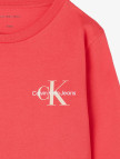 Calvin Klein Chest Monologo Çocuk Kırmızı T-Shirt Calvin Klein Chest Monologo Çocuk Kırmızı T-Shirt